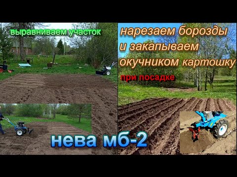Видео: Однорядный окучник на коротком кронштейне.Сажаем картошку. Нева мб-2.Ровняем участок.