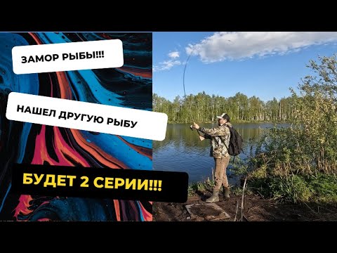Видео: Щука на спиннинг!!! Замор рыбы в подмосковье!!! Нашел не ту рыбу!!!