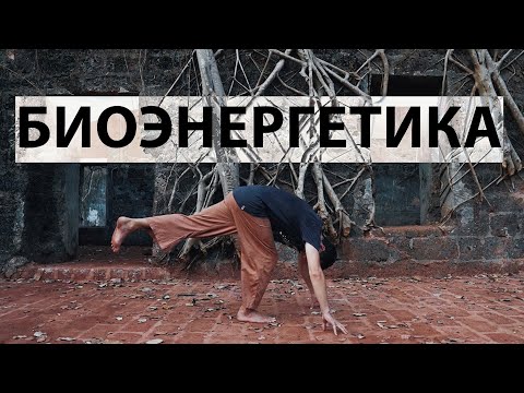 Видео: Биоэнергетика на ноги по Лоуэну. Биохакинг на заземление.
