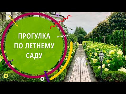 Видео: Прогулка по летнему саду | Обзор КП Никольские Озёра в июле 2020 года