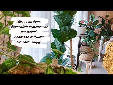 Видео: Жизнь на даче: Пересадка комнатных растений. Довязала подушку. Готовлю пиццу.