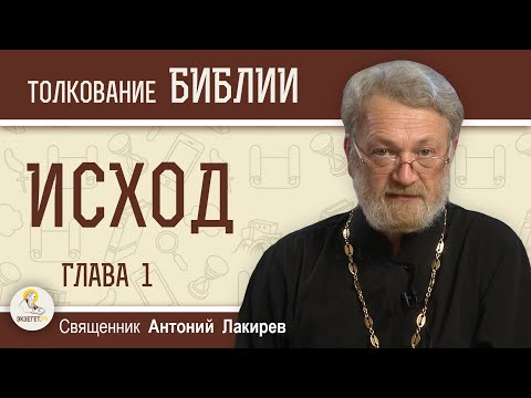 Видео: Исход. Глава 1 "Совесть - Бог, действующий инкогнито"  Священник Антоний Лакирев