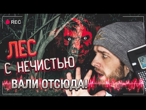 Видео: Ночь в Адском Лесу | Нам Угрожает НЕЧИСТЬ | Опасная связь с Потусторонним | ЭГФ | ФЭГ