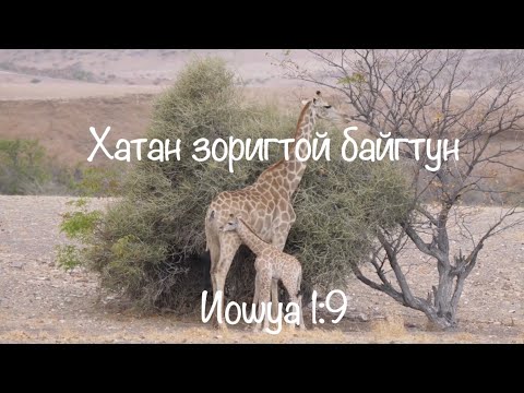 Видео: Хатан зоригтой байгтун Иошуа 1