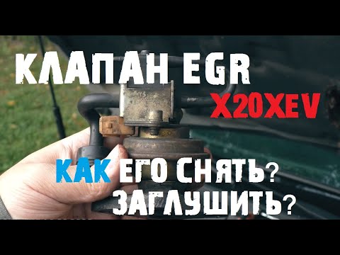 Видео: Клапан EGR на X20XEV, как его снять? Как его физически заглушить?[#Вне сюжета 10.09.2020 OMEGA LIVE]