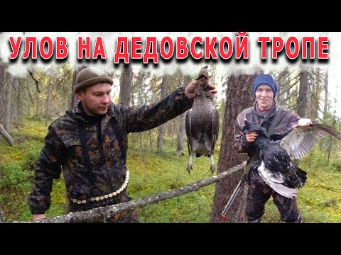 Видео: В тайгу на неделю с Коляном. День7. Проверяем петли, радуемся добыче.