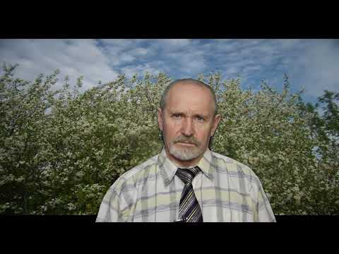 Видео: Биологическая защита пчел от варроатоза. Версия 2.0