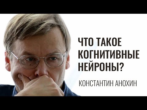 Видео: Что такое когнитивные нейроны? Константин Анохин
