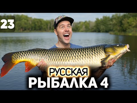 Видео: Обновляем рекорды! Идём на огромных карпов 🐟 Русская Рыбалка 4 [PC 2018] #23