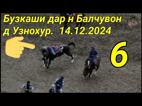 Видео: Бузкаши дар н Балчувон д Узнохур кисми 6.  14.12.2024