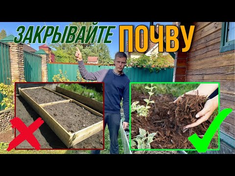 Видео: Никогда не оставляйте голую почву. 5 плохих последствий