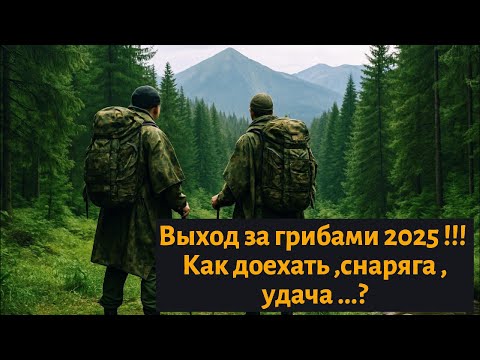 Видео: Выход за грибами 2025 !!! Как добраться до точки X  ?