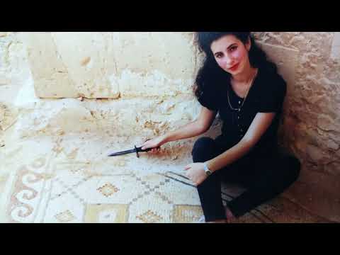 Видео: РАСКОПКИ ГОРОДА ШИВТА  ГОРОДА ПУСТЫНИ НЕГЕВ  част 3