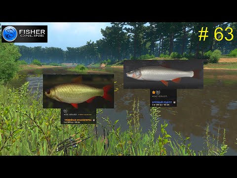 Видео: # 63 река Пра. ч.13  На пути к серебряному трофею: подуст и краснопёрка.  Прохождение Fisher Online
