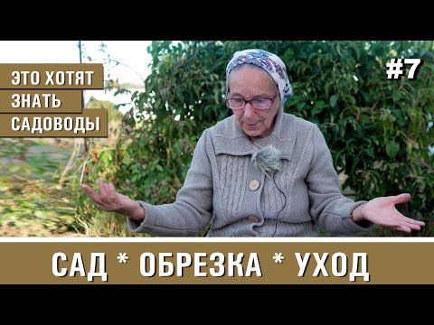 Видео: Что садоводы хотят знать по уходу за садом. Тонкости обрезки и формировки плодовых деревьев.