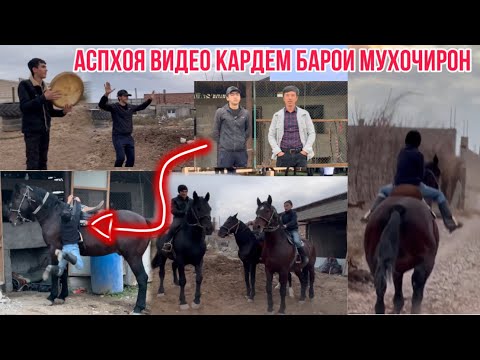Видео: Аспхои худамона видео Кардам дархости мухочир 🇹🇯