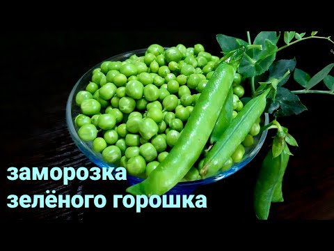 Видео: 🧊🧊#45 КАК ЗАМОРОЗИТЬ ЗЕЛЁНЫЙ ГОРОШЕК‼‼и как правильно его разморозить‼