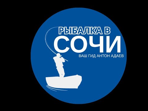 Видео: Поклёвки как из пулемёта. Рыбалка в Сочи 20.08.2024.