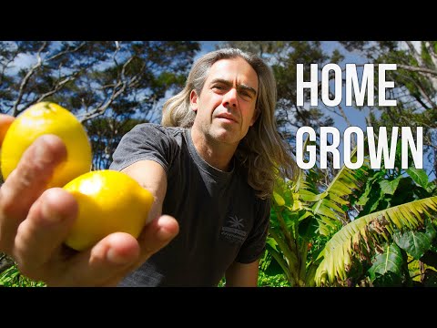 Видео: Почему настоящая еда больше не имеет настоящего вкуса