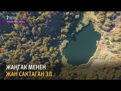 Видео: Жаңгак менен жан сактаган эл