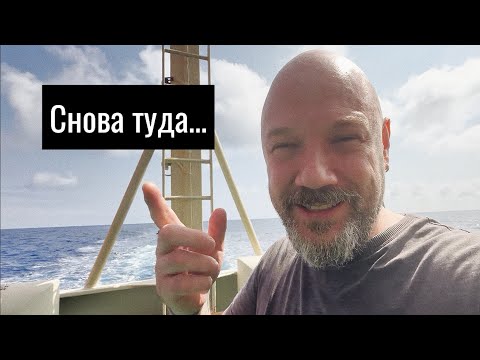 Видео: Очередной обед обычного дня. Снова туда …