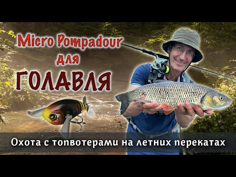 Видео: Jackall Micro Pompadour – секретный топвотер на КРУПНОГО голавля | Японские приманки в деле