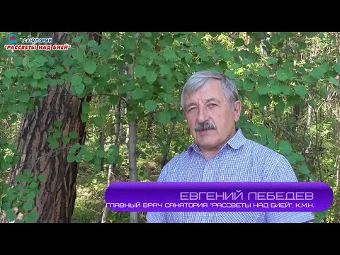 Видео: Осина не боится влаги и борется с инфекциями. #РассветыНадБией #СеребряныйКлюч #Осина #АлтайскийКрай