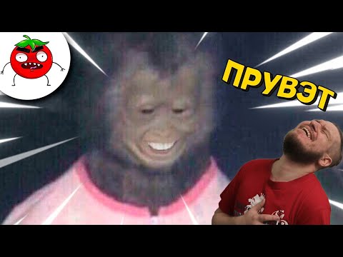 Видео: ЗАСМЕЯЛСЯ - ПОДПИСАЛСЯ!! ЛУЧШИЕ ПРИКОЛЫ I 623 СЕКУНД СМЕХА - РЕАКЦИЯ НА БАЛТИМОР