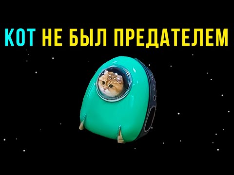 Видео: ПРИКОЛЫ AMONG US. КОТ НЕ БЫЛ ПРЕДАТЕЛЕМ | Мемозг #456