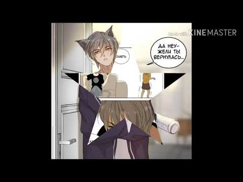 Видео: Мир управляемый котами-клип