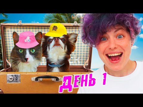 Видео: Поехали на КАНИКУЛЫ на море! Мишу укусили, НОЧЬ на дороге и ДОМ - ХАУСТУР и страусы! ДЕНЬ 1