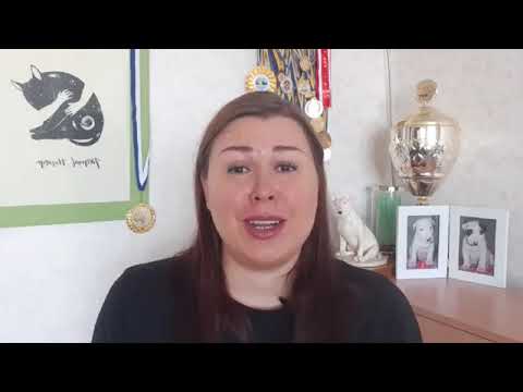 Видео: О собаках-подростках: питание, поведение, дрессировка