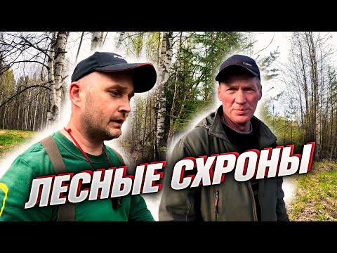 Видео: ГЛУХИЕ МЕСТА С МЕДВЕДЯМИ. ЕДЕМ С ГОЛОВОРЕЗОМ НА ДЕЛО!