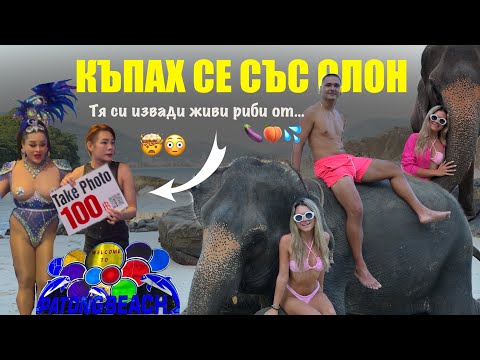 Видео: Слонът ме ИЗКЪПА 🐘| Разврат в Тайланд 😳 | Еп. 7