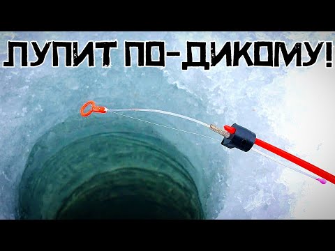 Видео: НАРВАЛСЯ НА СТАЮ! Секретное место УДИВИЛО в феврале! Рыбалка 2024