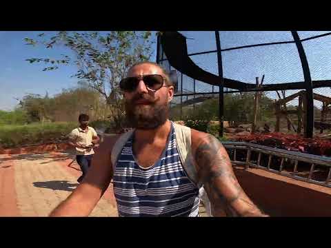 Видео: Индия Хампи сафари в зоопарке. Развлечение для индусов