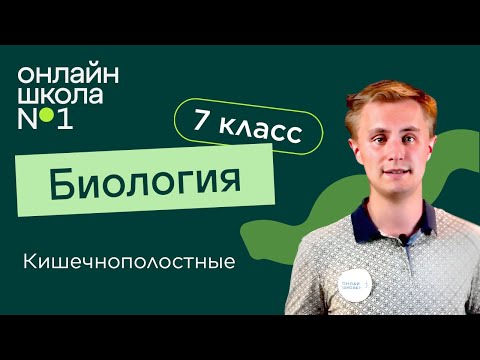 Видео: Тип Кишечнополостные. Видеоурок 7. Биология 7 класс