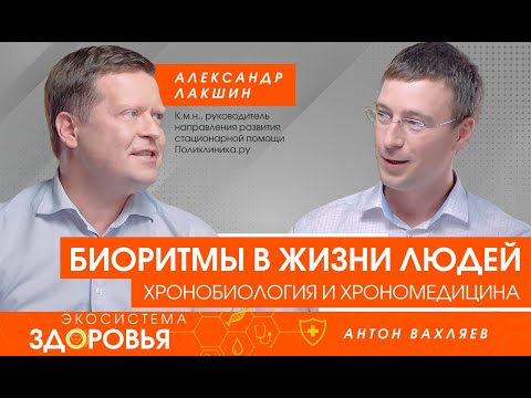 Видео: Биоритмы в жизни людей. Хронобиология и хрономедицина