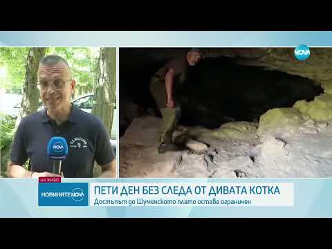 Видео: Жена е подала сигнал, че леопардът в Шумен е пресякъл пътя ѝ - Новините на NOVA (24.06.2025)