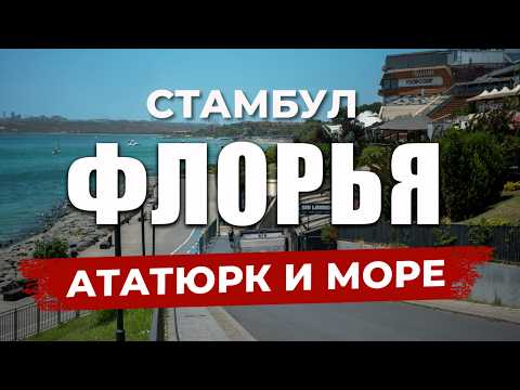 Видео: 🇹🇷 САМЫЙ грязный пляж в Стамбуле! А еще Летняя резиденция Ататюрка и Большой ТЦ  | ФЛОРЬЯ | #турция