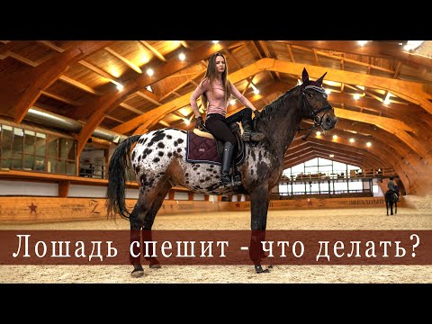 Видео: Разбираем проблему, когда лошадь спешит. Конный спорт. Тренировка. Темп и ритм. Верховая езда.