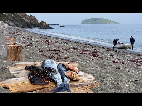 Видео: Маленькая лодка — большое приключение! Фридайвинг и поиск пищи под водой в Корнуолле
