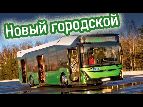 Видео: Горб зубра: знакомимся с автобусом МАЗ-303