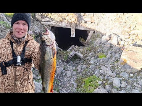 Видео: РЫБАЛКА НА ОСТРОВЕ СМЕРТИ - " ВАЙ ХАБЦЬ" ШАХТЫ ГУЛАГА, ВОЗВРАЩЕНИЕ ДОМОЙ!! 