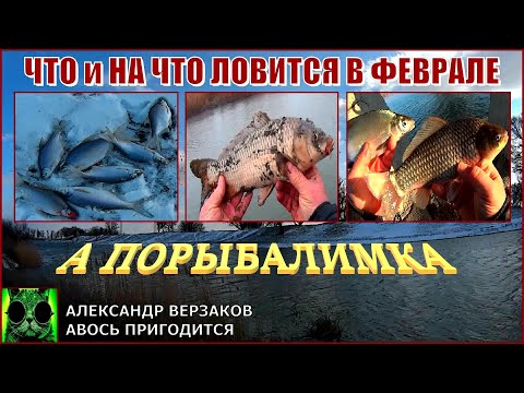 Видео: А порыбалимка 6/21г. ЧТО и НА ЧТО ловится в феврале.