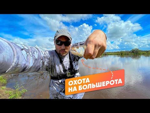 Видео: РЫБАЛКА на большерота / Рыбалка в Амурской области / Таких "кабанов" я еще не ловил