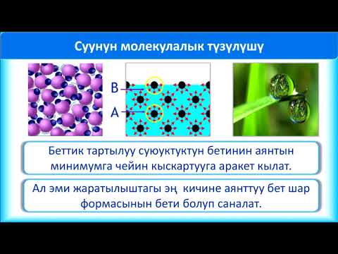 Видео: Физика, 10-класс. Суюктуктар. Беттик тартылуу.Беттик тартылуу коэффициенти.