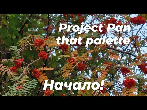 Видео: Project Pan that palette 💛 // Начало!