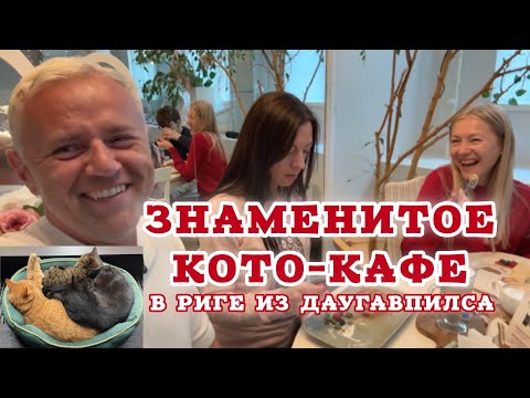 Видео: Знакомьтесь: бывшая начальница уволила меня, теперь молится. Cat Cafe Riga: остались разочарованы.