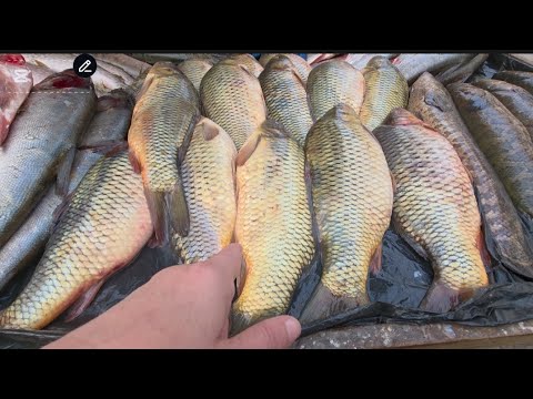 Видео: БУГУН БАЛИК НАРХИ КАНЧА 🐠🐠🐡🐡🐟🐟🐬🐬🐋🐋🐳🐳